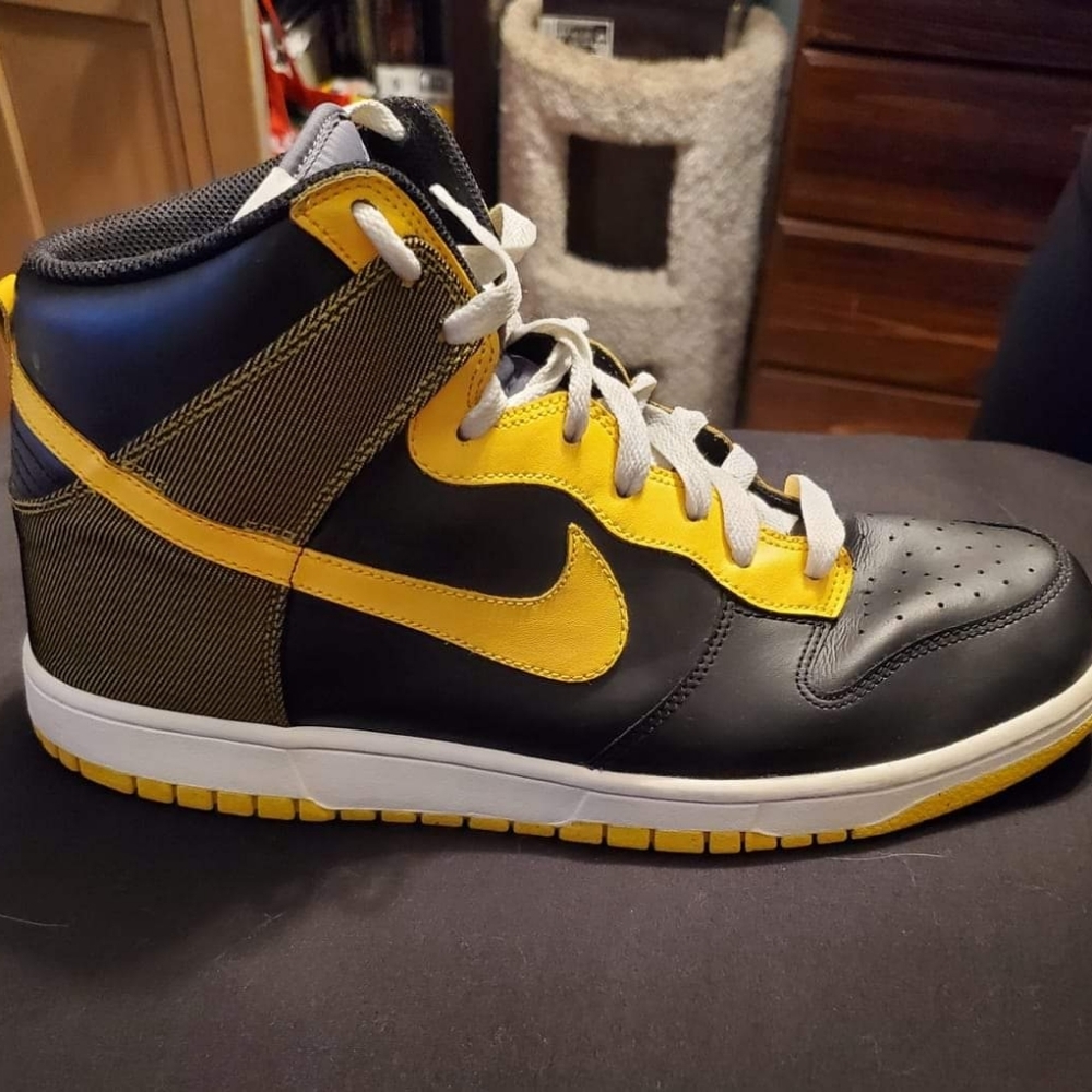 Nike men's 11.5 dunk high north pack